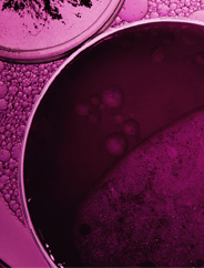 Origins right banner