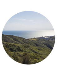 TOPANGA: ODACITE
