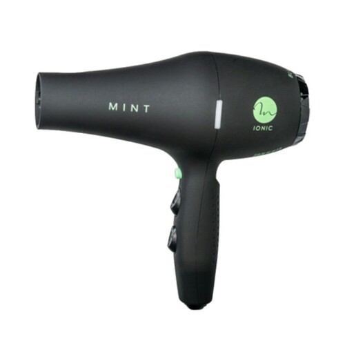 Mint Tools Black Bird Ionic Dryer on white background