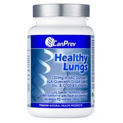 Healthy Lungs on white background